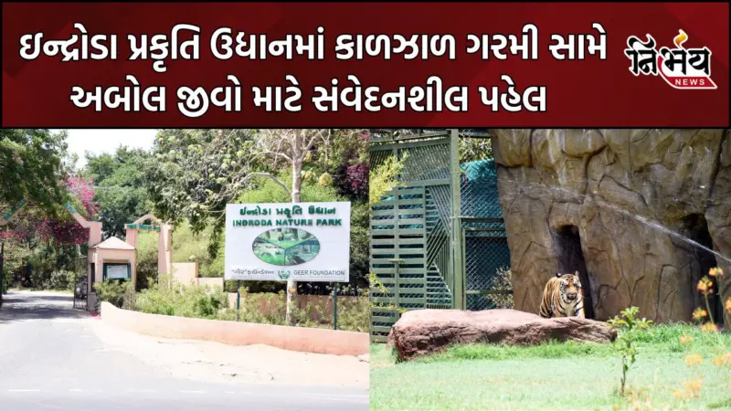 Gandhinagar : ગુજરાતમાં ગરમીનો કહેર, ઇન્દ્રોડા પ્રકૃતિ ઉદ્યાનમાં વન્યજીવોને બચાવવા વિશેષ આયોજન