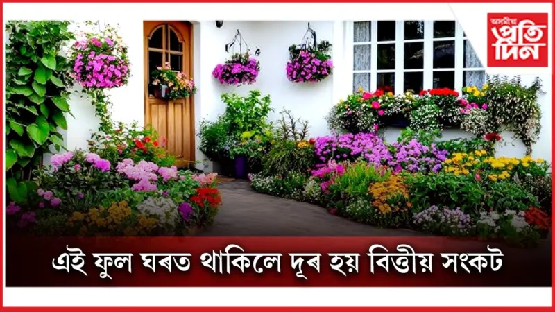 সুখৰ জীৱন কটাবলৈ আজিয়েই ঘৰত ৰোপন কৰা এই ফুল
