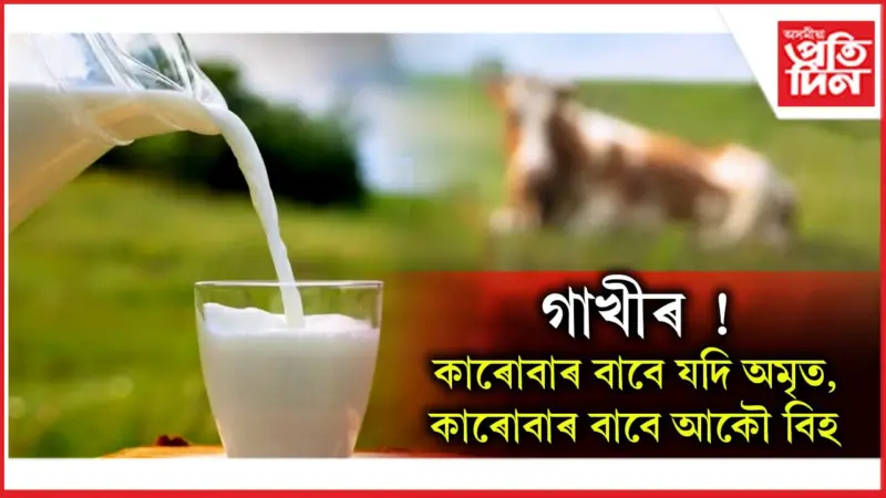 এইসকল লোকে ভুলতো নাখাব গাখীৰ