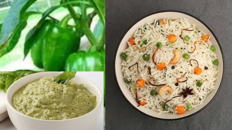 மதிய உணவுக்கு சிம்பிள் ரெசிபிகள்! நான்கு சுவையான குடைமிளகாய் சமையல்!