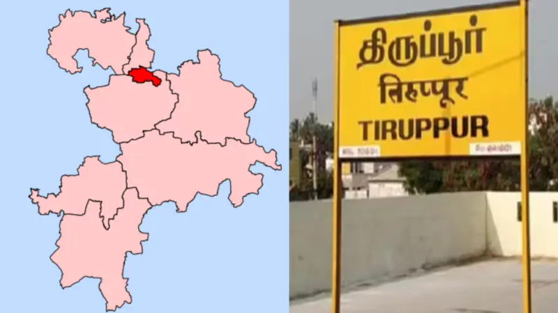 திருப்பூர் அகழாய்வில் சேரர் காலத்து வரலாற்றுச் சான்று: 'இரும்பொறை' பொறிக்கப்பட்ட பானை ஓடு கண்டெடுப்பு!