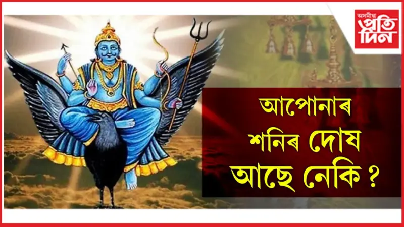 আজিয়েই ঘৰত ৰোপন কৰক এইজোপা গছ