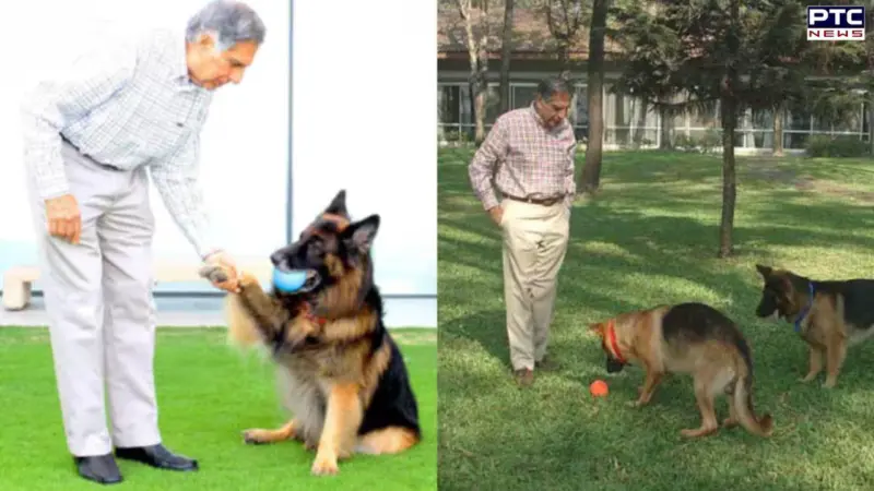 Ratan Tata: Why revered industrialist's last rites were not held as per traditional Parsi customs?