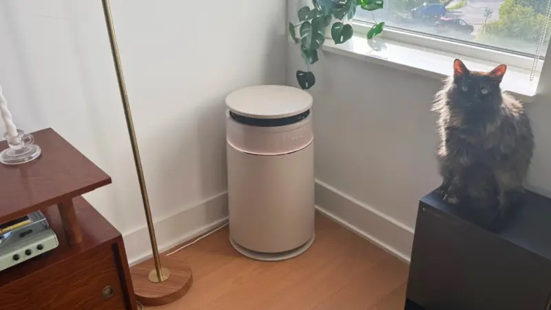 The Mashable favorite Dreame FP10 air purifier is on sale at Amazon for $75 off