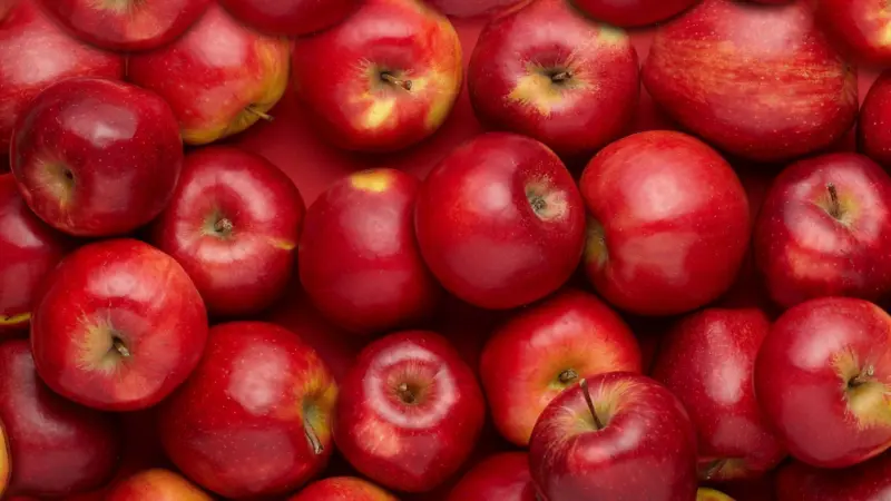 Apple State of India: Which State Tops the Country in Apple Cultivation?