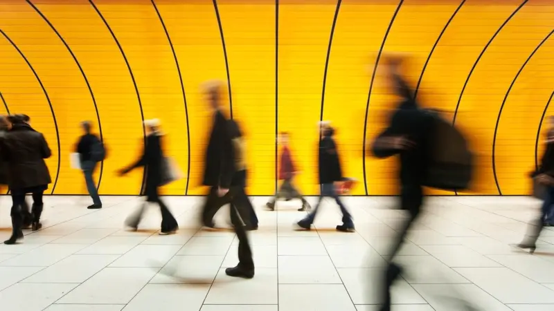 Earth could lose half its population by 2064, says study
