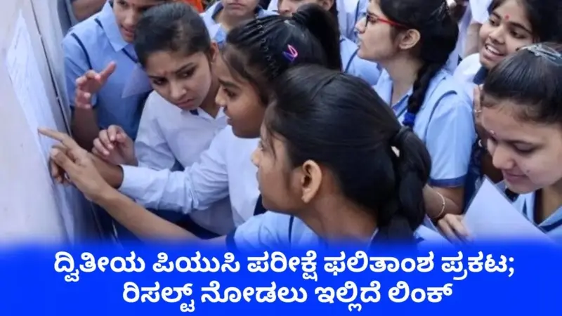 Karnataka 2nd PUC Results 2026: ಕರ್ನಾಟಕ ದ್ವಿತೀಯ ಪಿಯುಸಿ ಫಲಿತಾಂಶ ಪ್ರಕಟ;  ಶೇ.86 ವಿದ್ಯಾರ್ಥಿಗಳು ಉತ್ತೀರ್ಣ, ರಿಸಲ್ಟ್‌ ಹೀಗೆ ಚೆಕ್‌ ಮಾಡಿ