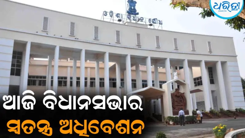 ଆଜି ବିଧାନସଭାର ସ୍ବତନ୍ତ୍ର ଅଧିବେଶନ: ମହିଳା ପ୍ରସଙ୍ଗରେ...