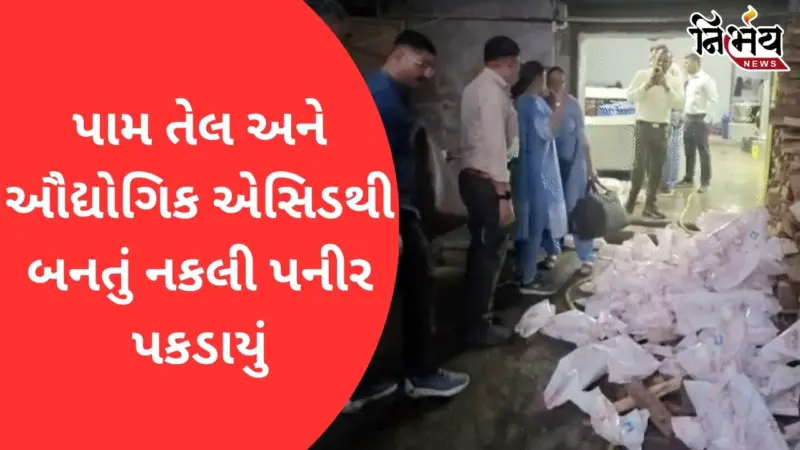 Surat: જપ્ત કરાયેલ 1400 કિલો પનીર નીકળ્યું નકલી, સસ્તા ભાવે ધંધો ચલાવવામાં ખરાબ તેલનો થઈ રહ્યો હતો ઉપયોગ