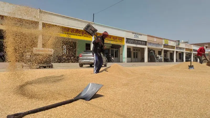 Wheat procurement under scanner in Karnal amid suspected inflow from UP