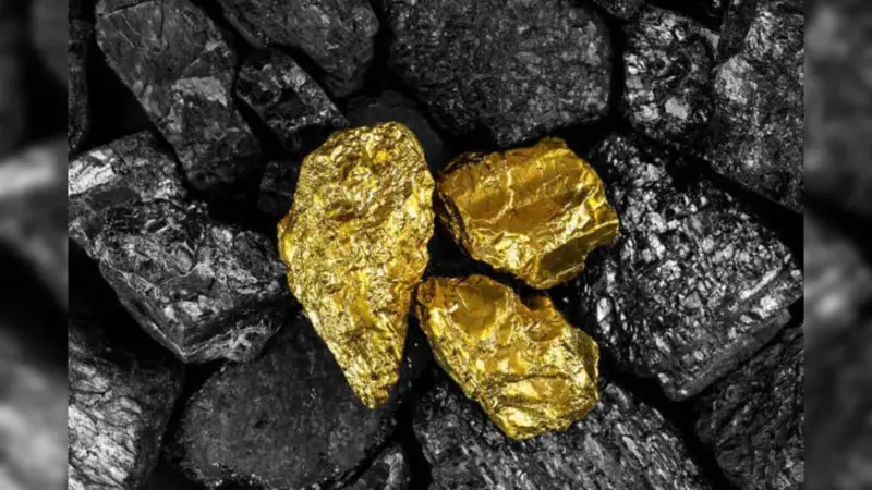 Suriname's Maria Geralda Witnesses Massive Gold Discovery, Experts Shocked by Unusually Rich Ore