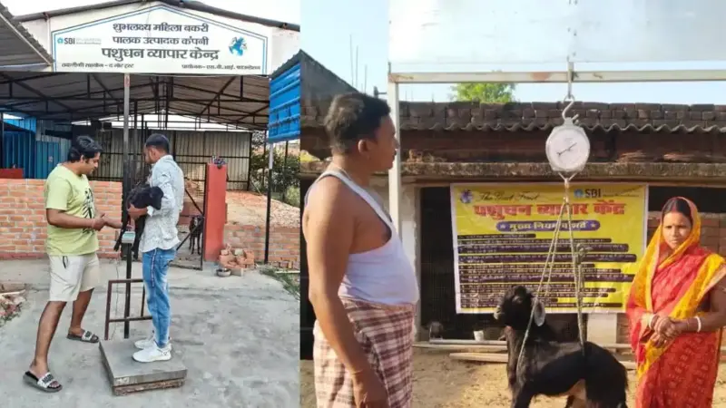 Bihar News: अब बिचौलियों की खैर नहीं! बिहार की ग्रामीण महिलाओं ने डिजिटल क्रांति से जीता बकरी बाजार, रचा नया इतिहास