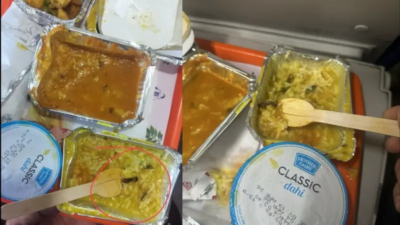 IRCTC imposes  ₹10 lakh penalty on vendor after insect found in Vande Bharat meal