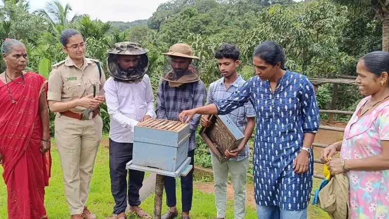 Buzzing a new livelihood