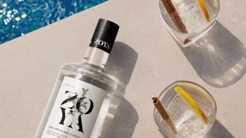 Allied Blenders and Distillers IPO: Issue subscribed 51% on Day 1; check GMP, other key details