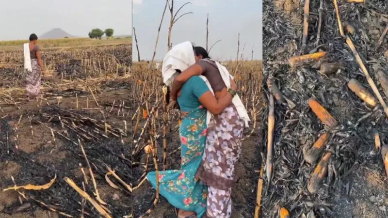 అన్నదాతల కన్నీరు తుడవనున్న సర్కార్.. తక్షణమే సహాయం అందించాలని సీఎం ఆదేశం