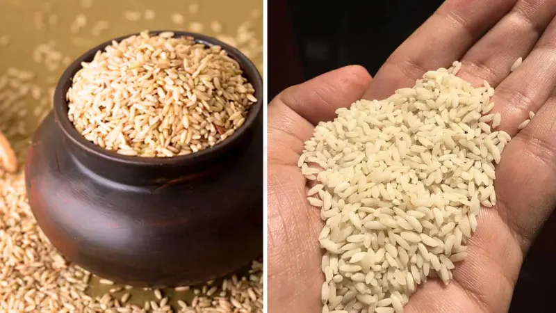 கருப்பு அரிசியில் ஒளிந்திருக்கும் ஆரோக்கிய ரகசியங்கள்: காலா நமக் ஸ்பெஷல்!