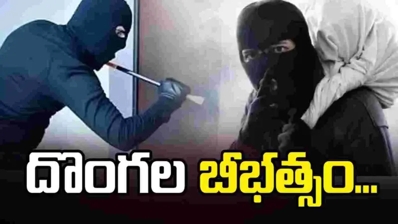 దొంగల బీభత్సం.. తాళం వేసి ఉన్న ఇళ్లే టార్గెట్