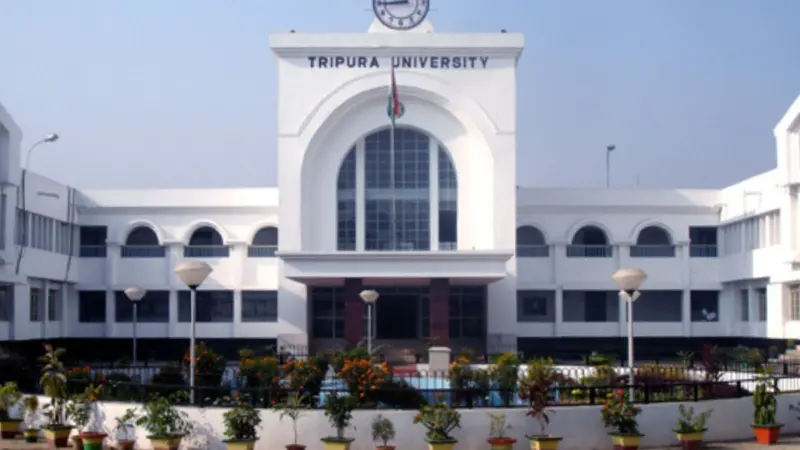 Why are Tripura colleges facing a massive faculty shortage?