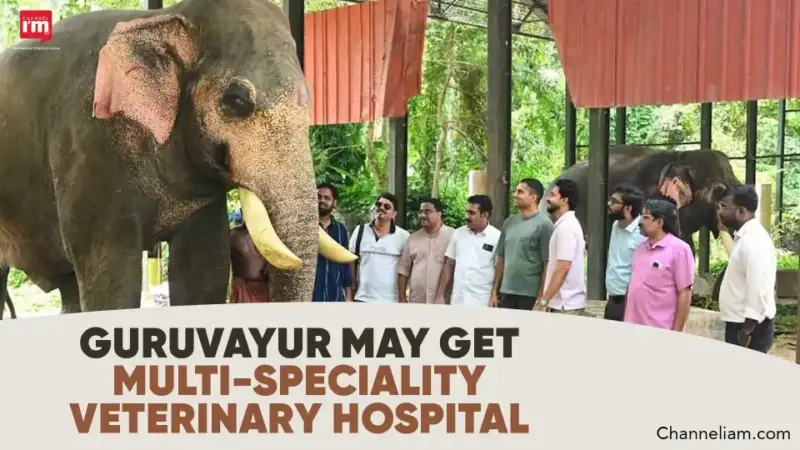 Guruvayur to get vet hospital