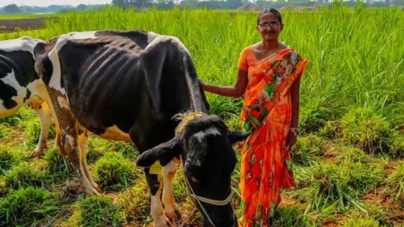 संघर्षातून उद्योजकतेकडे! विदर्भातील महिलांचे सक्षमीकरण: आर्थिक स्‍वावलंबीत्वाचा नवा मार्ग