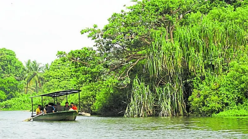 Bengaluru-Kushalanagar highway to cut through Ranganthittu eco-sensitive zone