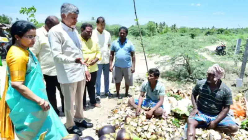 Chandrababu : రోడ్డు పక్కన అమ్మే తాటిముంజలు తిని
