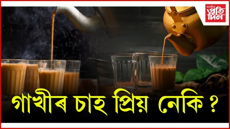 গাখীৰ চাহ খোৱাৰ আগতে এবাৰ পঢ়ক এই খবৰ
