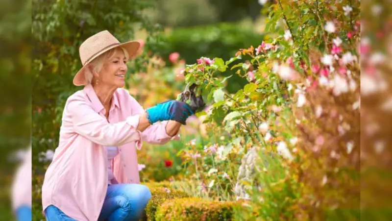 Going on Vacation? Smart Plant Care Hacks You Need to Know