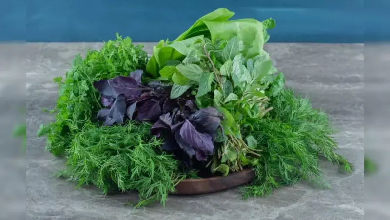Grow Your Own Summer Greens: 5 Leafy Vegetables Perfect for Balcony Gardening