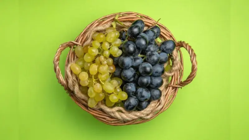 Green vs Black Grapes: Which One Packs More Health Benefits?