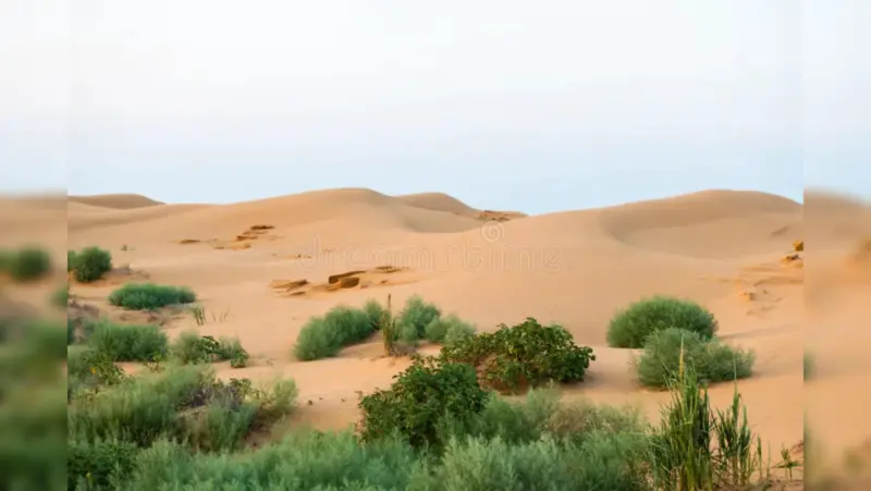 Why Some Deserts Look Green: 5 Fascinating Examples Around the World
