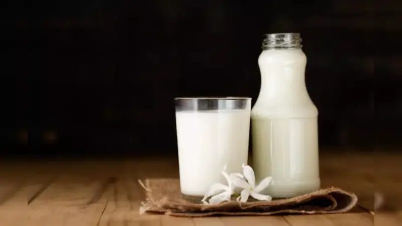 Simple Tricks to Keep Milk Fresh in Summer and Prevent It from Spoiling