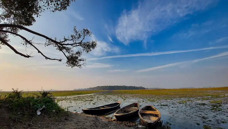 World Wetlands Day 2026: Flood-prone Bihar's sponges are drying up