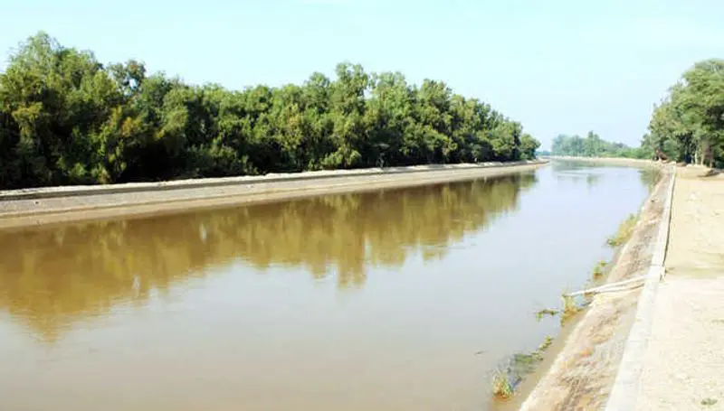 Punjab Govt allows temporary outlets from canals for irrigation