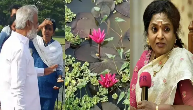 'குளத்தில் மட்டுமல்ல. ஒவ்வொரு குடும்பத்திலும் தாமரை மலரும்' : சேகர்பாபுவுக்கு தமிழிசை பதில்!