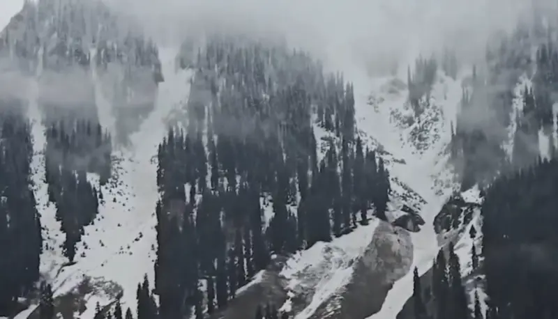 Snowfall, Rain Bring Down Temperatures In Kashmir