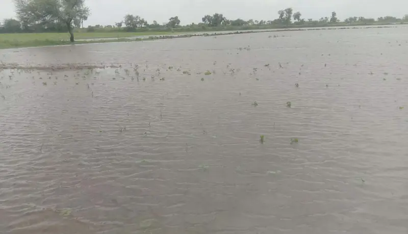 ಪ್ರವಾಹ: ಜಮೀನುಗಳಿಗೆ ನುಗ್ಗಿದ ನೀರು