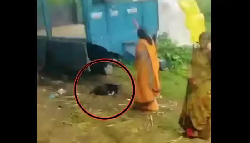 क्रूरता! कुत्र्याला बेदम मारहाण करत दिली फाशी.