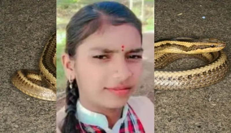 घरात झोपी गेलेली श्रेया अचानक ओरडून जागी झाली अन्.