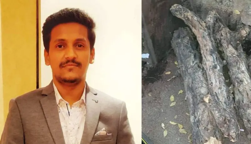 हृदयद्रावक! पुणे शहरात चहा पित असताना डोक्यावर पडली झाडाची फांदी.