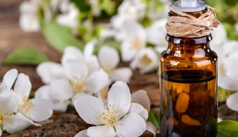 11 Amazing Benefits Of Jasmine Oil For Skin And Hair