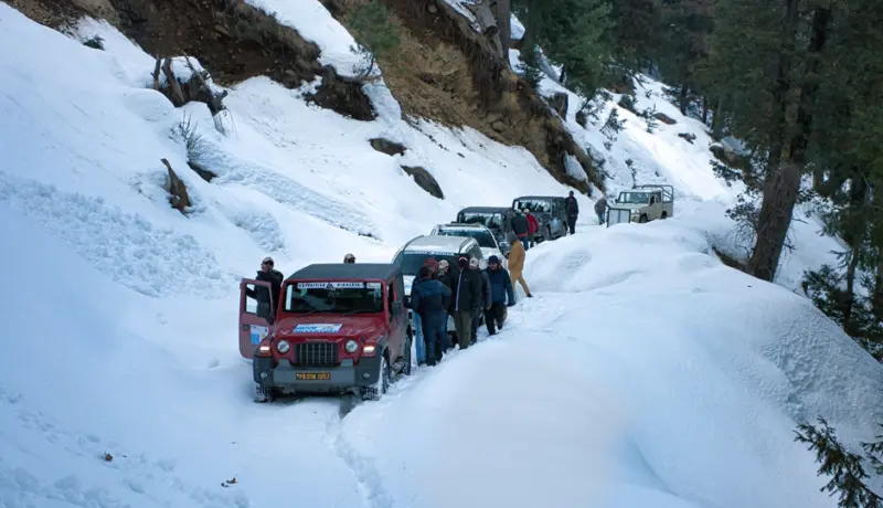 7 Activities You Must Experience In Narkanda