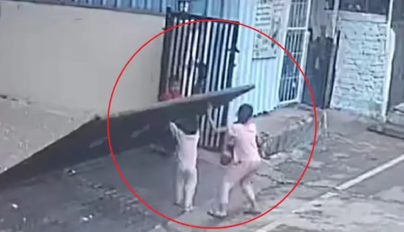 हृदयद्रावक! पिंपरीत अंगावर गेट पडल्याने चिमुकलीचा मृत्यू.