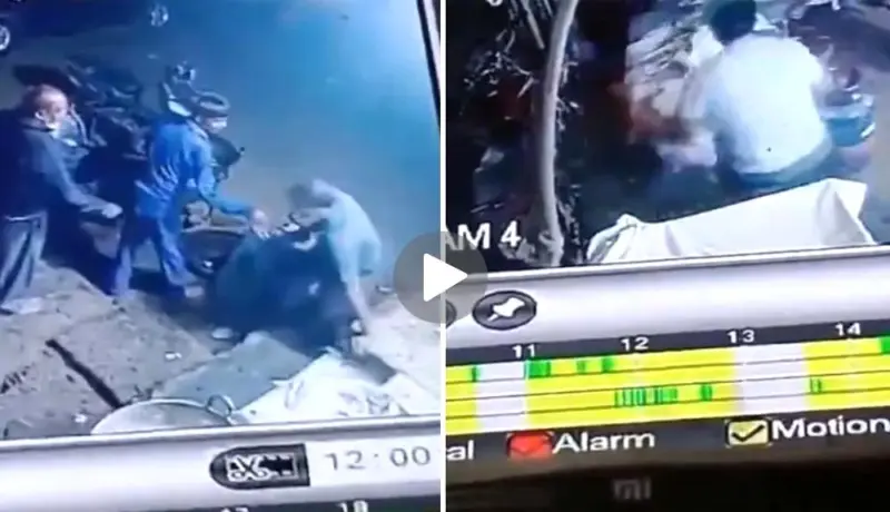 Video: उकळत्या दुधाच्या कढईवर गेला तोल अन् गेला जीव.