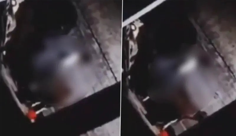 विकृती! गायीवर बलात्कार करताना कॅमेऱ्यात कैद; Video Viral.