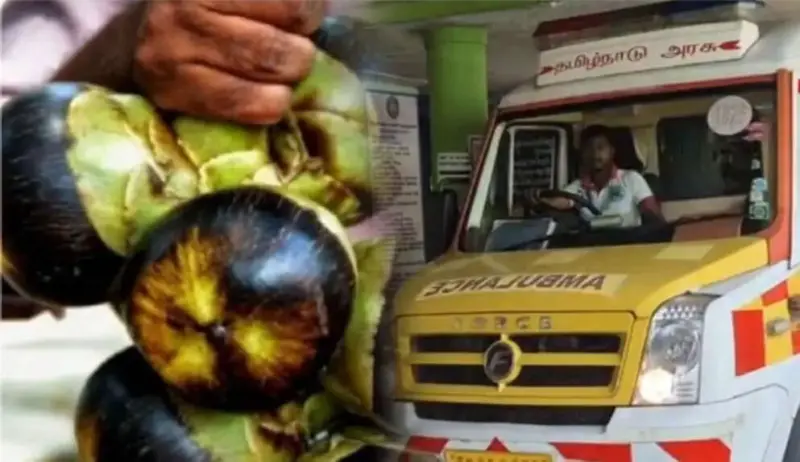 டிரான்ஸ்பார்மர் வெடித்து 2 கல்லூரி மாணவர்கள் உயிரிழப்பு