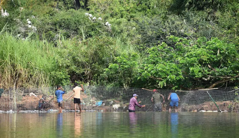 Ranganathittu Bird Sanctuary: Where the Cauvery cradles birdlife