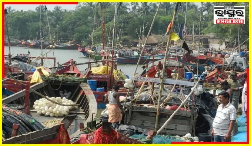 Odisha Coastal Trawlers Grounded Till June 14 for Marine Breeding Season