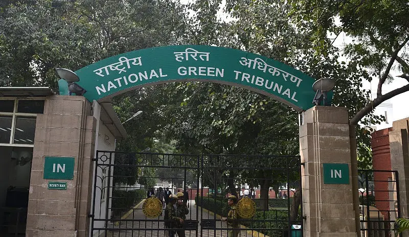 NGT Stays Assam Govt Order to Deploy Forest Force for April 9 Assembly Polls